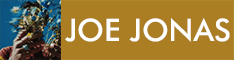 Joe Jonas - Music For People Who Believe In Love - 5-23 - PreOrder