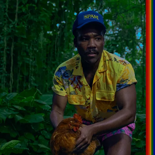 Childish Gambino - Bando Stone and the New World [LP] [2 LP]